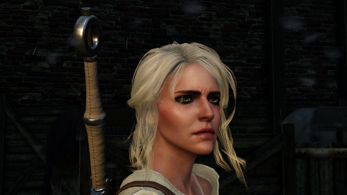 witcher3_2015_07_14_17_01_32_197.png