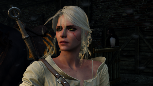 witcher3_2015_07_14_17_02_00_540.png