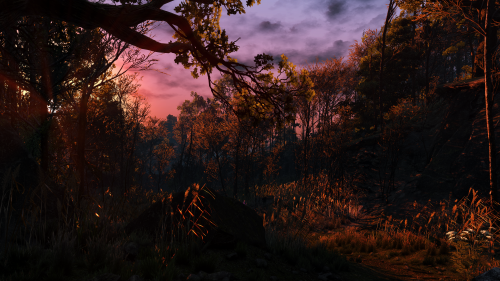 witcher3_2015_07_15_13_34_43_813.png