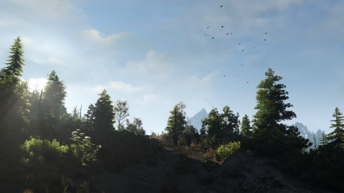 witcher3_2015_07_15_14_43_43_477.png