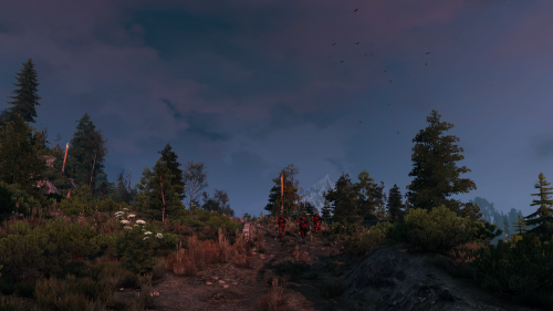 witcher3_2015_07_15_14_44_24_822.png