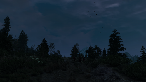 witcher3_2015_07_15_14_44_29_693.png