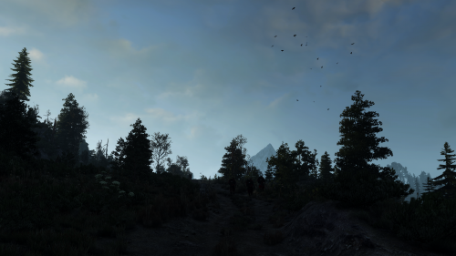 witcher3_2015_07_15_14_44_55_384.png