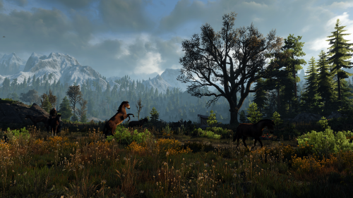witcher3_2015_07_15_15_07_09_977.png
