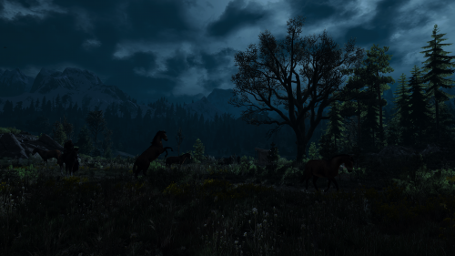 witcher3_2015_07_15_15_07_14_119.png