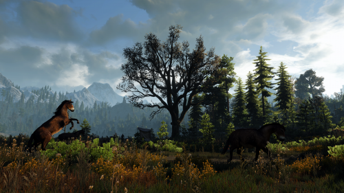 witcher3_2015_07_15_15_09_04_390.png