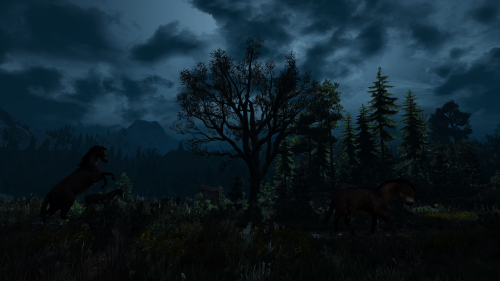 witcher3_2015_07_15_15_09_09_652.png