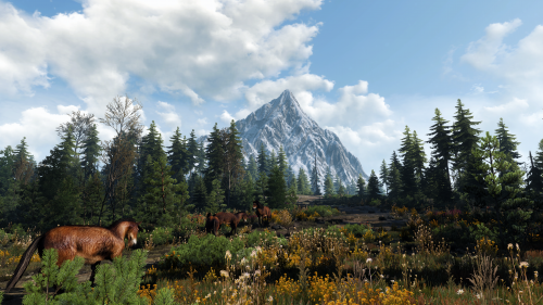 witcher3_2015_07_15_15_10_36_735.png