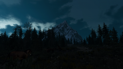 witcher3_2015_07_15_15_10_48_013.png