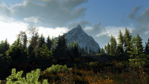 witcher3_2015_07_15_15_10_51_078.png