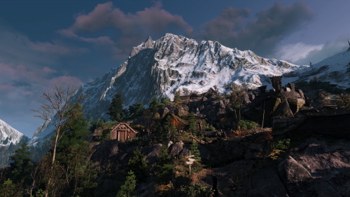 witcher3_2015_07_15_15_29_46_146.png