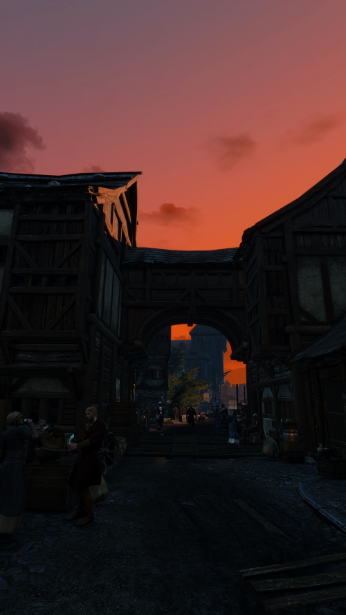 witcher3_2015_08_02_17_45_02_790.png