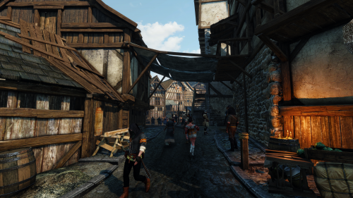 witcher3_2015_08_02_17_49_44_372.png