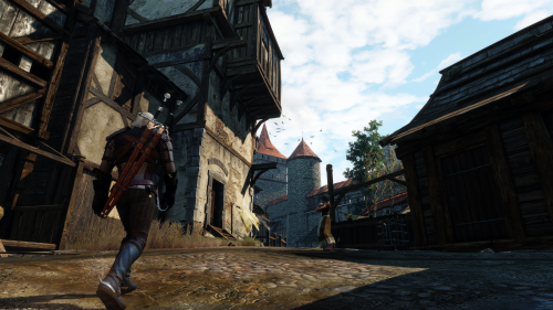 witcher3_2015_08_02_18_05_16_928.png