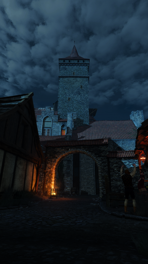 witcher3_2015_08_02_18_10_28_886.png