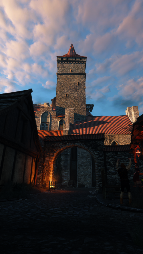 witcher3_2015_08_02_18_10_34_180.png